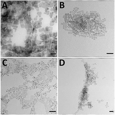 Selective Growth of Metal Sulfide, Metal, and Metal-Alloy on 2D CdS Nanoplates